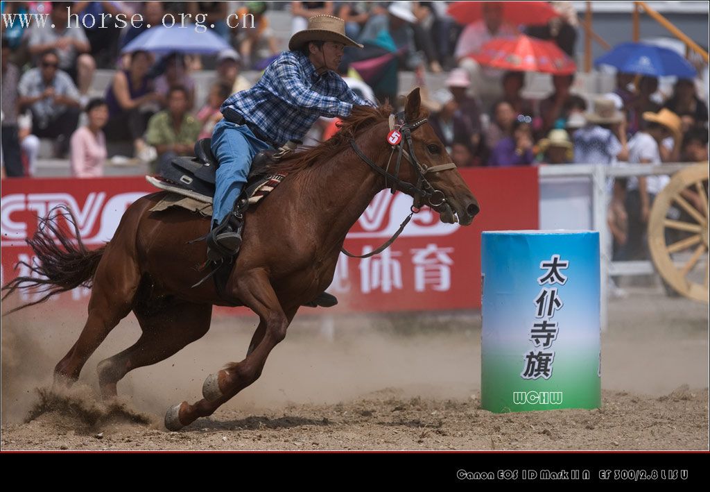 摄于内蒙太仆寺旗第二届全国马术绕桶赛暨皇家御马文化节的一些图片