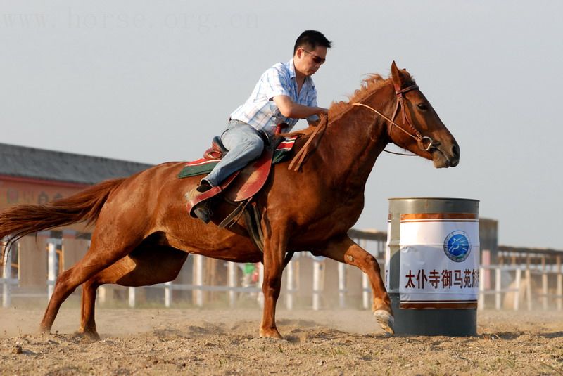 河南马友李胜星在太仆寺