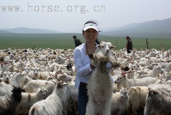 那达慕归来