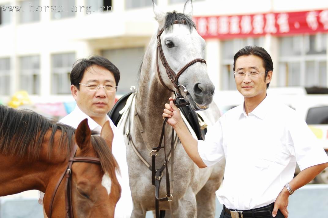 青岛凤凰山庄、德瑞马术俱乐部组织海边骑马图片