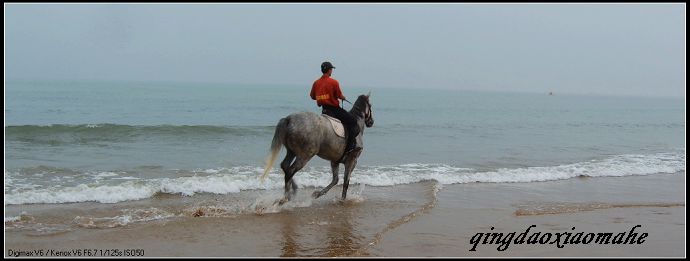 大海边骑马狂奔..........