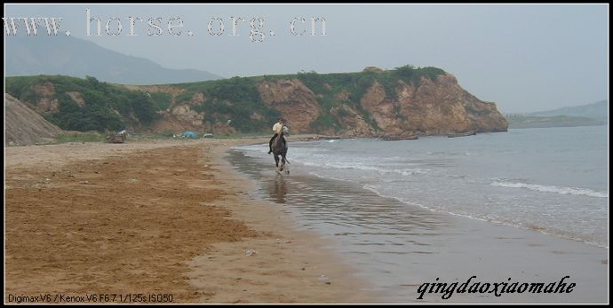 大海边骑马狂奔..........