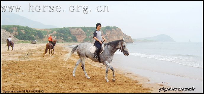 大海边骑马狂奔..........