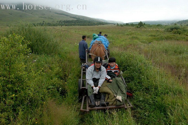 马是土钝的，风景是绝佳的——8月11日小坝子沟骑马露营