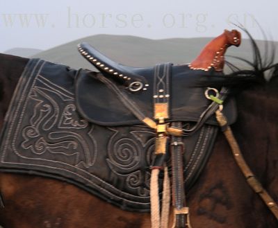 有兴趣到新疆骑马的朋友可以联系我