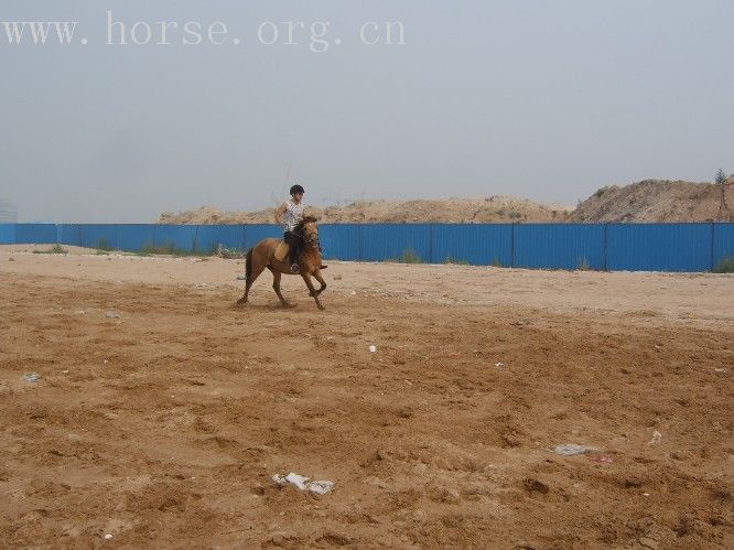 本周5想去丰宁坝上草原骑马，有愿意同行的兄弟姐妹马？