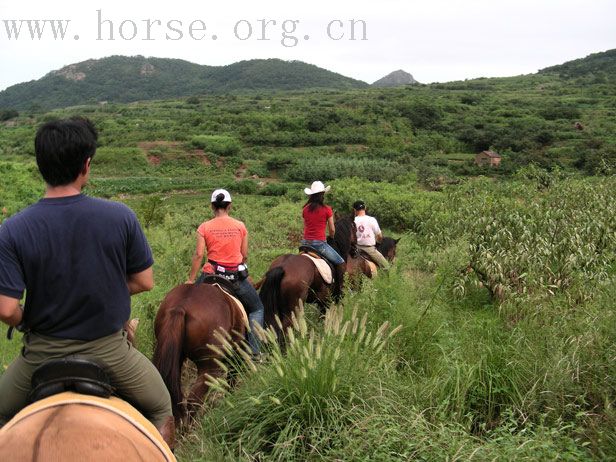 [贴图]青岛部分照片