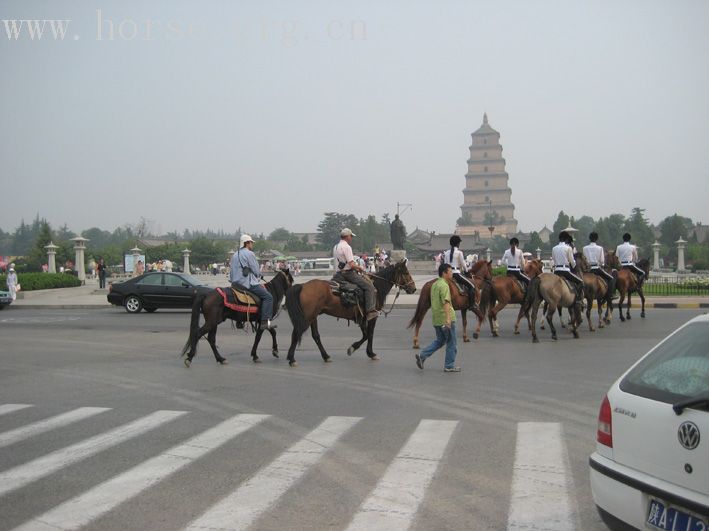 中国骑马行----芬兰两骑手与西安马术俱乐部技术交流活动照片~