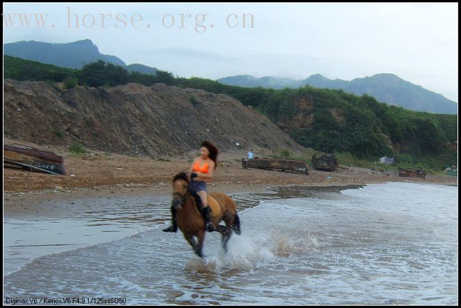 凤凰山庄野骑－－－驰骋于山海之间