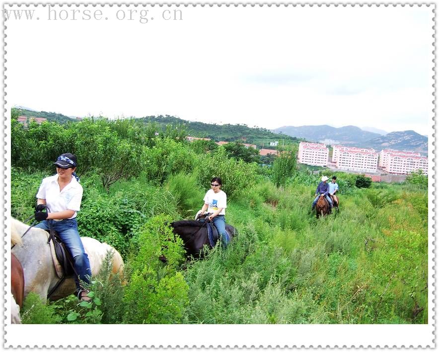 [贴图]马友联盟马友做客青岛凤凰山庄马术俱乐部实录---天天更新中