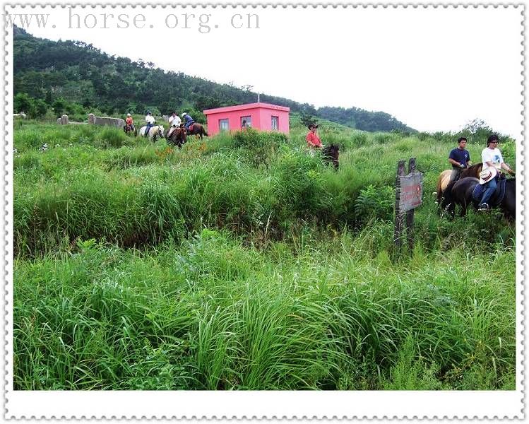 [贴图]马友联盟马友做客青岛凤凰山庄马术俱乐部实录---天天更新中