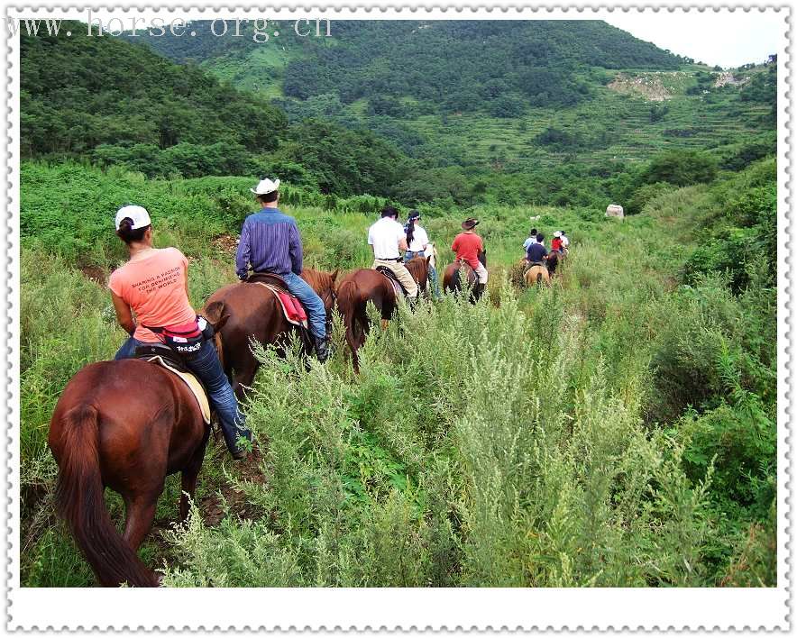 [贴图]马友联盟马友做客青岛凤凰山庄马术俱乐部实录---天天更新中