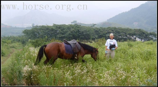 北京天星调良在青岛-----上山下海.