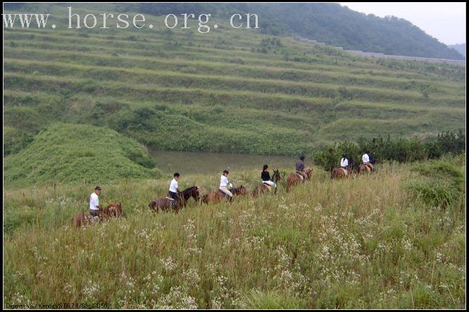 北京天星调良在青岛-----上山下海.