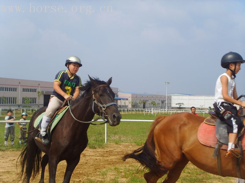 暑假韩国小骑手在登程马术俱乐部学骑马掠影