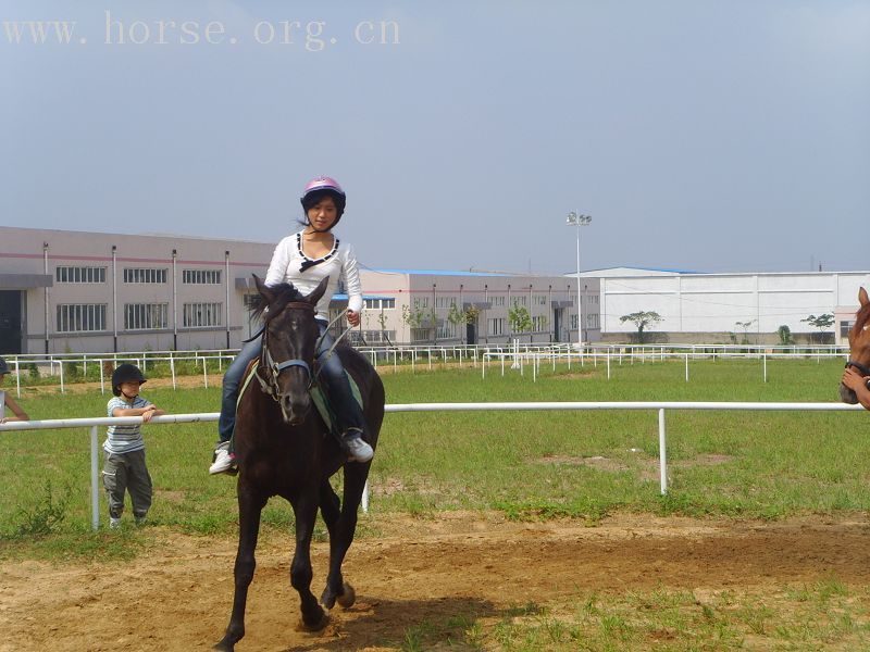 暑假韩国小骑手在登程马术俱乐部学骑马掠影