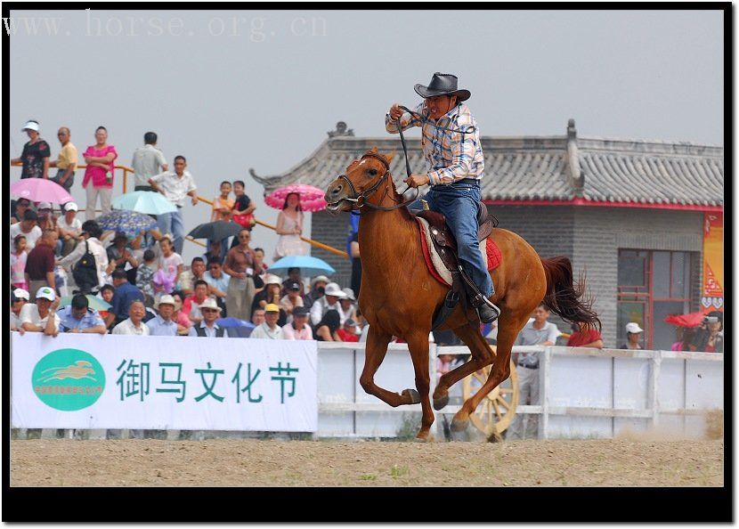 太仆寺旗第二届全国马术绕桶冠军赛随拍