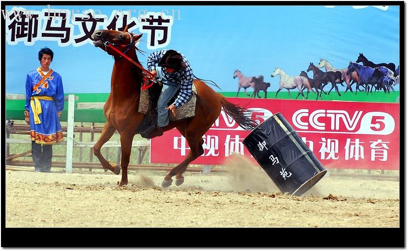 太仆寺旗第二届全国马术绕桶冠军赛随拍