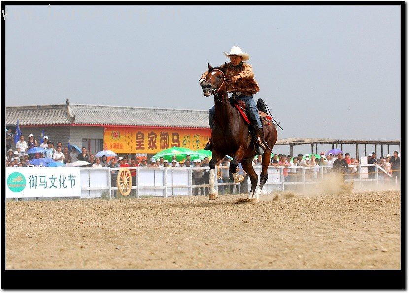 太仆寺旗第二届全国马术绕桶冠军赛随拍