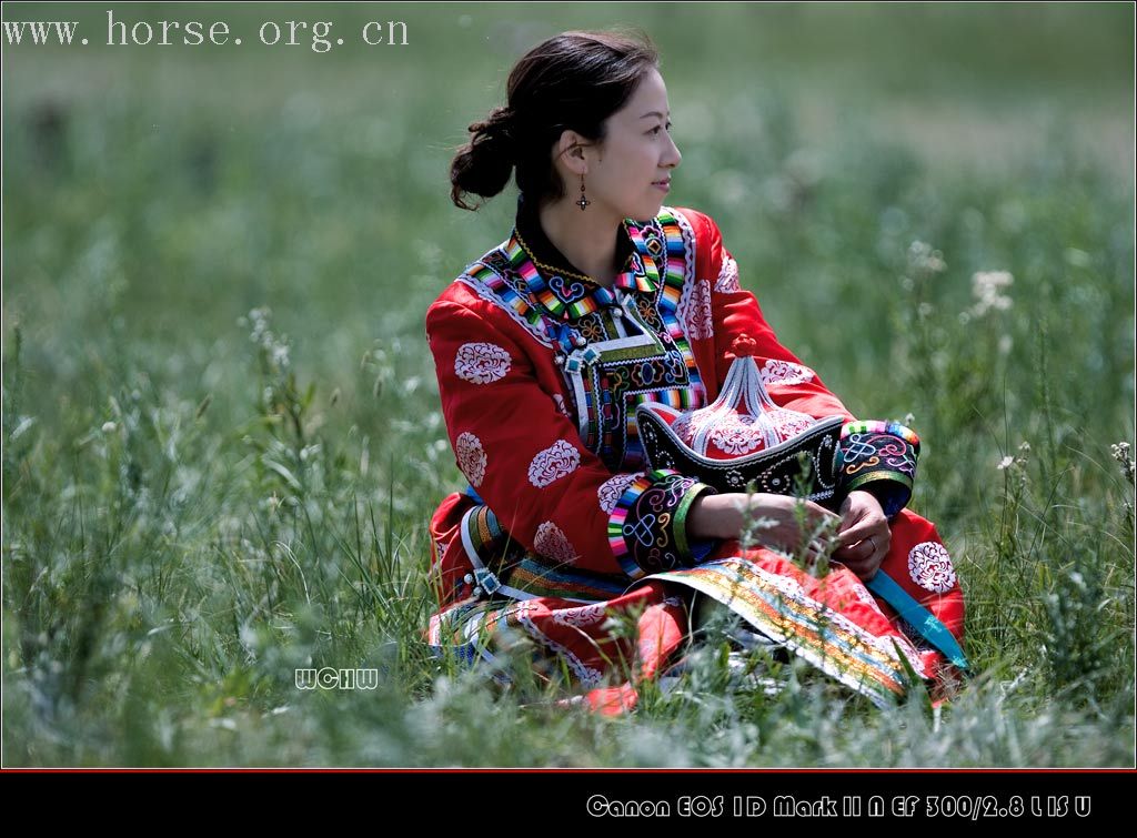 摄于内蒙太仆寺旗第二届全国马术绕桶赛暨皇家御马文化节的一些图片