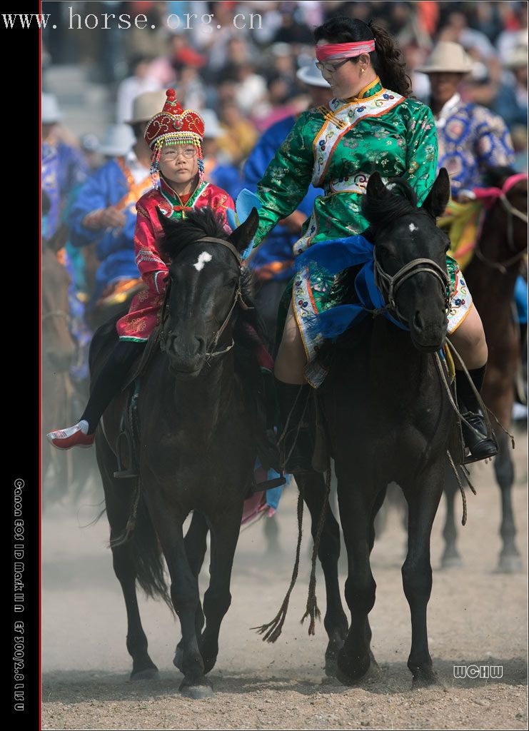 摄于内蒙太仆寺旗第二届全国马术绕桶赛暨皇家御马文化节的一些图片
