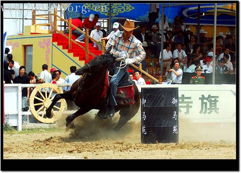 太仆寺旗第二届全国马术绕桶冠军赛随拍