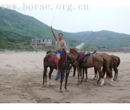 [召集]海边骑马.游泳.吃海鲜~~~今年夏天在嵊泗