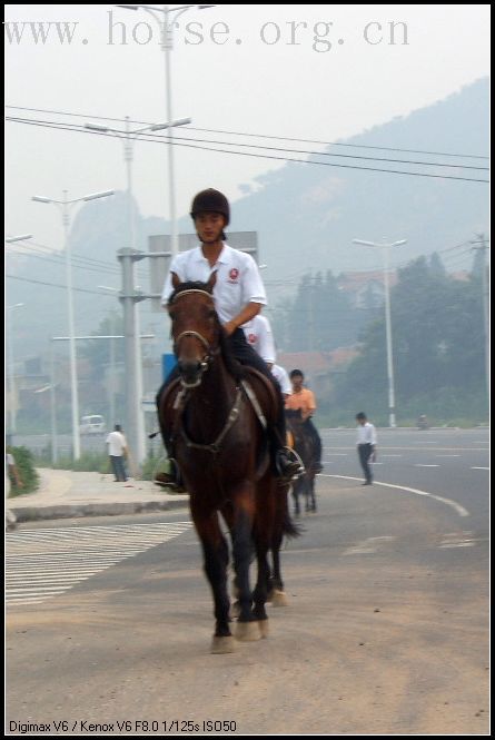 北京天星调良在青岛-----上山下海.