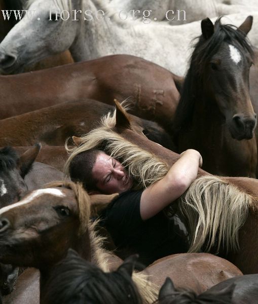 视频：400 年的传统，西班牙 Sabucedo 的暴力驯服野马