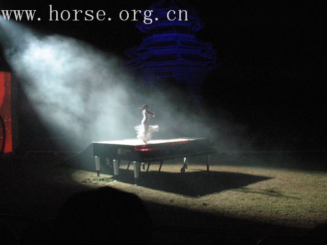 再谈泰国＂Passionata Horse Show＂
