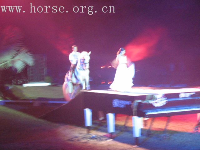 再谈泰国＂Passionata Horse Show＂