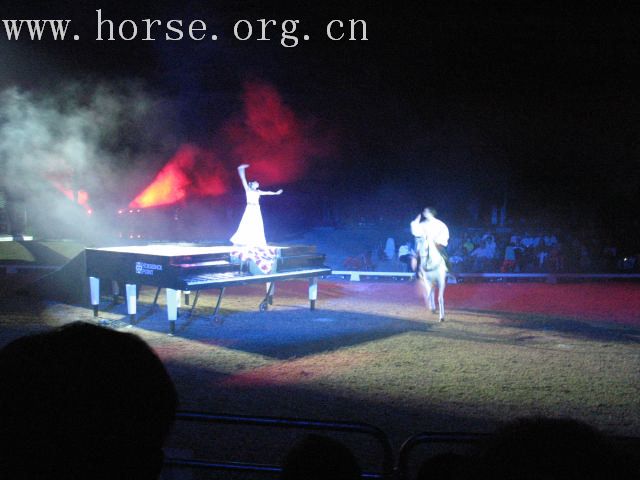 再谈泰国＂Passionata Horse Show＂