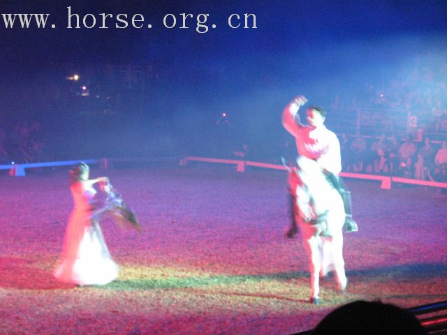 再谈泰国＂Passionata Horse Show＂