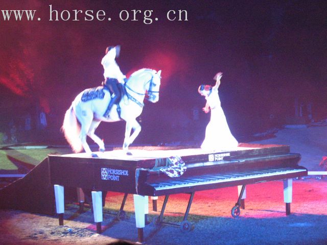再谈泰国＂Passionata Horse Show＂