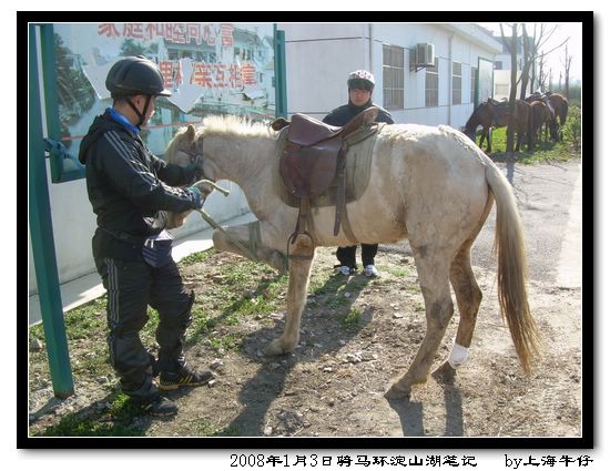 2008年1月3日骑马环淀山湖笔记