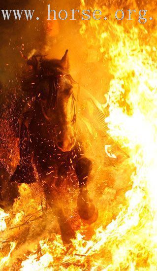 西班牙圣安东尼日庆典上的"烈焰骑师"