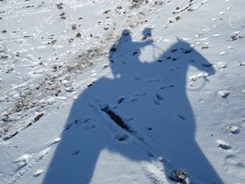 四川的-雪中骑手