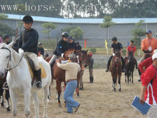 深圳骑警训练图片