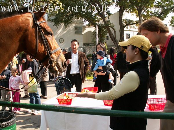一個在雙魚河的傳統的馬友聚會 ~ BOXING DAY MEET