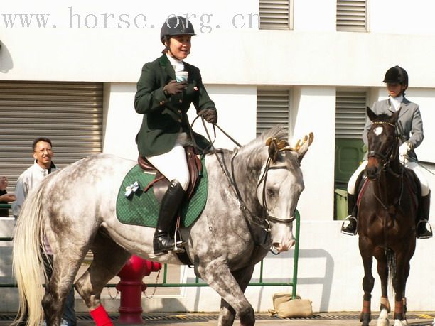 一個在雙魚河的傳統的馬友聚會 ~ BOXING DAY MEET