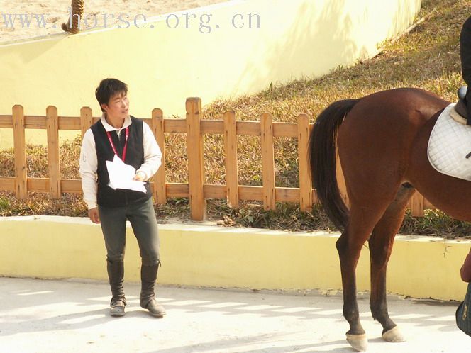 [贴图]標卓馬術會的比賽(I) 天使、裁判、人和馬