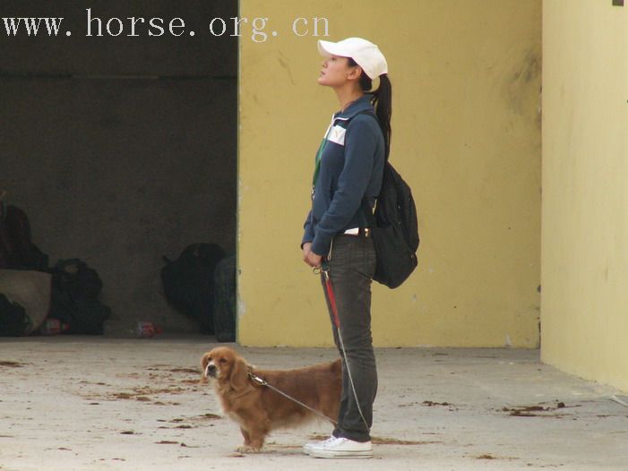 [贴图]標卓馬術會的比賽(I) 天使、裁判、人和馬