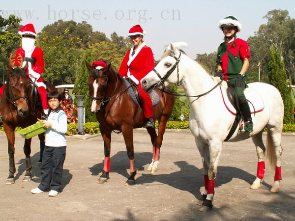 傳統的馬友聚會：BOXING DAY MEET (在雙魚河會所)