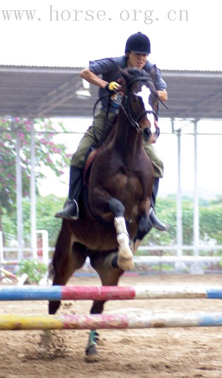 敬请关注:2007广州天麓骑术场地障碍常规赛(年终站)
