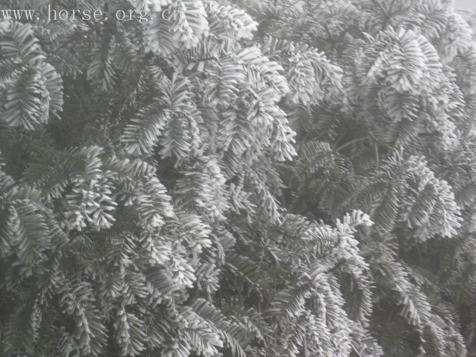 云南马友2008新年梁王山露营活动PP