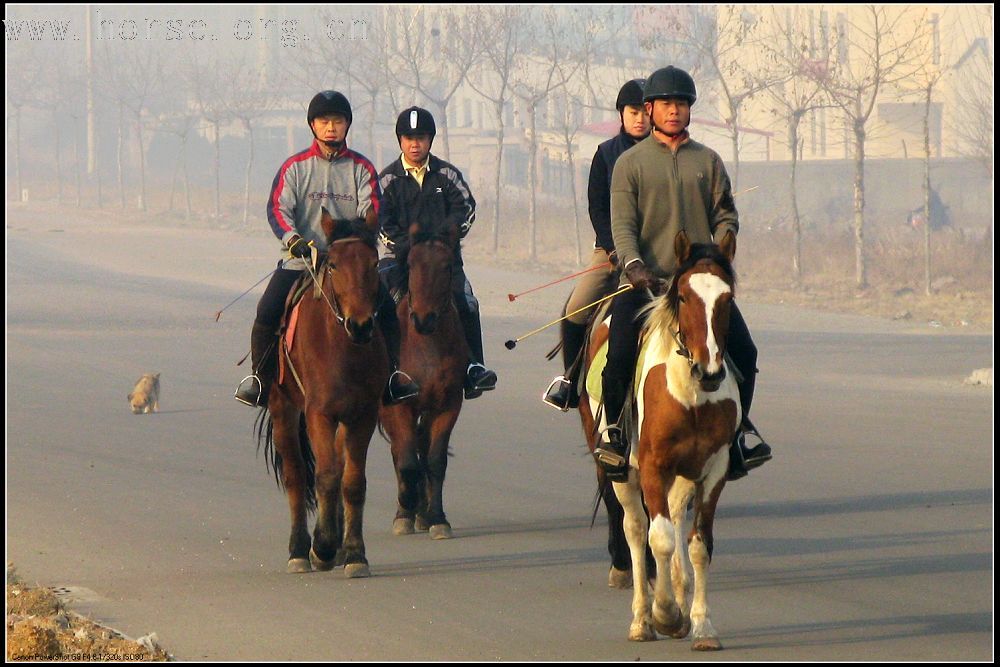 2008.01.05日骑马照片