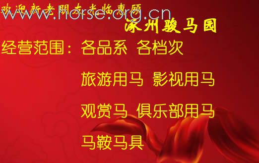 ◥◣★◢◤出售6岁英纯血肩高1米76 ◥◣★◢◤
