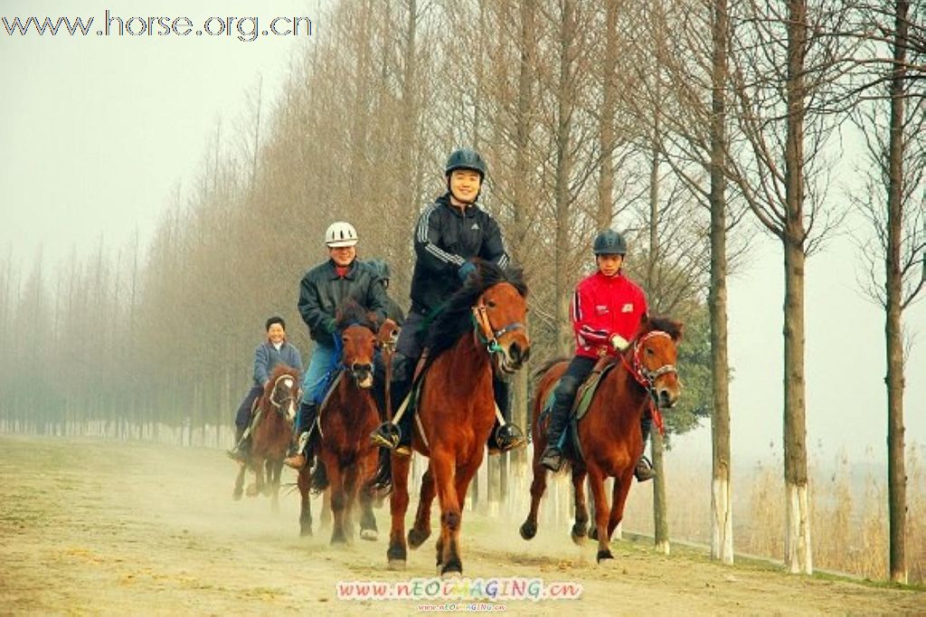 骑马探路环阳澄湖约150KM--非盈利自助活动