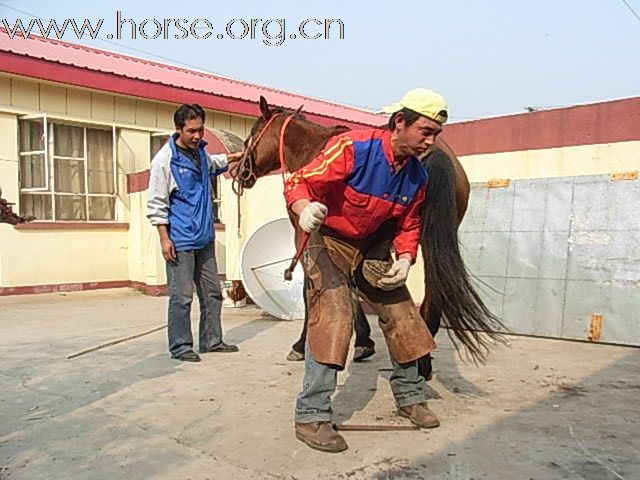 英国铁娘子从中国骑到伦敦，10月25已抵京，来年再踏征程