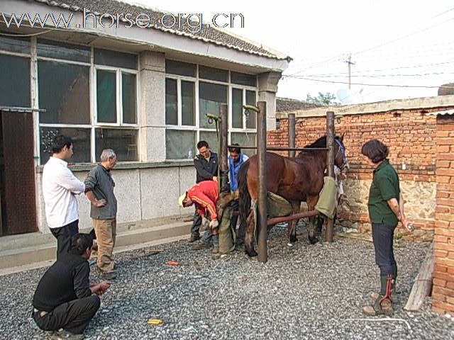 英国铁娘子从中国骑到伦敦，10月25已抵京，来年再踏征程